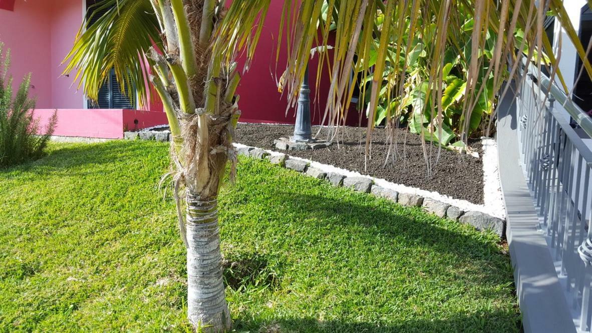 Pink House Apartment Ponta do Sol  Bagian luar foto
